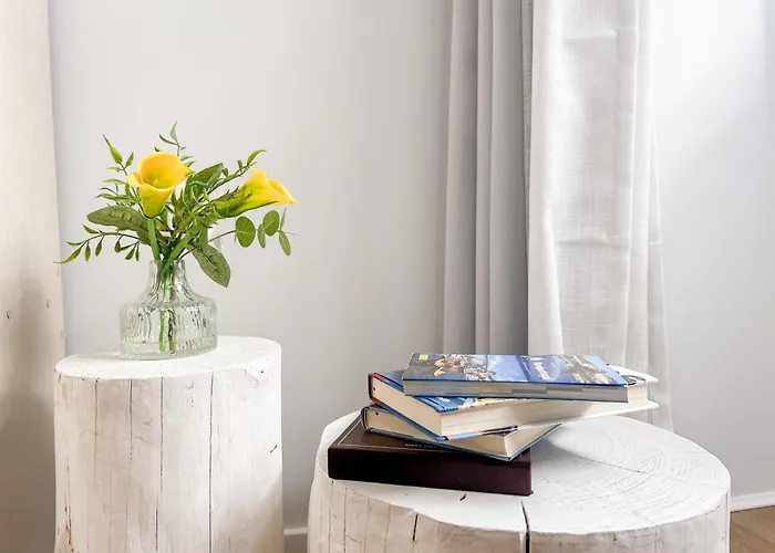 Apartament Viana - Historical Centre *